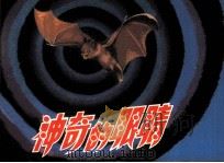 神奇的眼睛（1982 PDF版）