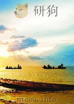 中国语言生活状况报告.2008.下编（ PDF版）