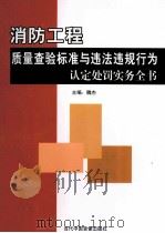 消防工程质量查验标准与违法违规行为认定处罚实务全书  第2卷（ PDF版）