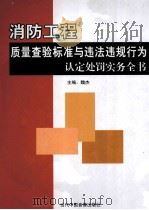 消防工程质量查验标准与违法违规行为认定处罚实务全书  第3卷（ PDF版）