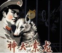 神犬索龙（1988 PDF版）