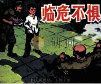 临危不惧（1980 PDF版）