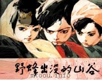 野蜂出没的山谷 1982 PDF电子版封面 8087203 李迪编