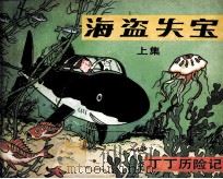 丁丁历险记  海盗失宝（1984 PDF版）