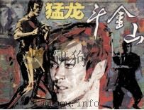 中国武术连环画  猛龙斗金山（1990 PDF版）