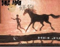 黑驹（1984 PDF版）