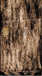 续资治通鉴 卷47-50 1867 PDF电子版封面 (宋)司马光
