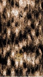 续资治通鉴  卷105-108   1867  PDF电子版封面    （宋）司马光 