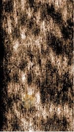 续资治通鉴 卷112-114 1867 PDF电子版封面 (宋)司马光