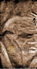 历代名贤齿谱  卷4下（ PDF版）