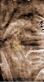 历代名贤齿谱  卷5上（ PDF版）