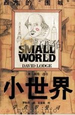 小世界  学者罗曼司（1996 PDF版）