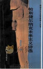 帕斯捷尔纳克未来主义诗选 1996 PDF电子版封面 754111393X 杨开显译