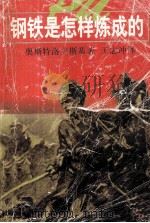 钢铁是怎样炼成的 1998 PDF电子版封面 7532722163 (苏)奥斯特洛夫斯基(Николай,Островский)