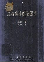 血液病诊断及图谱（ PDF版）