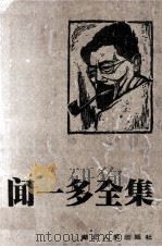 闻一多全集  10  文学史编·周易编·管子编·璞堂杂业编·语言文字编   1994  PDF电子版封面  7216011104  孔党伯，袁謇正主编 