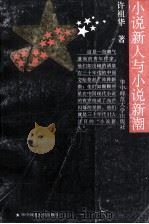 小说新人与小说新潮（1994 PDF版）