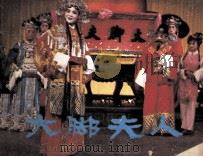大脚夫人（1985 PDF版）