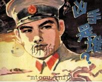 凶手是谁（1982 PDF版）