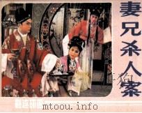 妻兄杀人案（1984 PDF版）