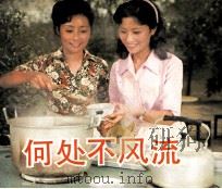 何处不风流（1984 PDF版）