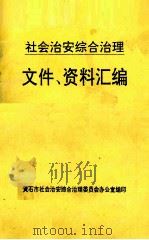 社会治安综合治理文件、资料汇编 1995 PDF电子版封面 黄石市社会治安综合治理委员会办公室编
