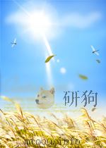 执行税收法令严肃财经纪律 税收检查400例（1986.1 PDF版）