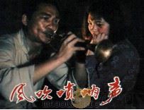 电影连环画册  风吹唢呐声（1984 PDF版）