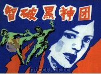 智破黑神团（1985 PDF版）
