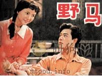 野马 1984 PDF电子版封面 808113897 江敦熙移植改编;一草改编;阿阳导演;张涵毅摄影