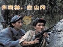电视连环画册  在密林，在山岗（1984 PDF版）