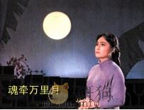 魂牵万里月（1981 PDF版）