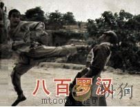 电影连环画册  八百罗汉  下（1985 PDF版）