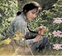 电影连环画册  忘忧草（1984 PDF版）