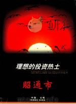 理想的投资热土昭通市 PDF电子版封面