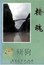 桥魂 1994 PDF电子版封面 722103396X 胡长斌等著