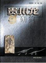 贵州龙（1999 PDF版）