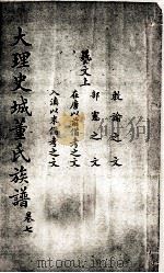 大理史城董氏族谱 卷7 PDF电子版封面