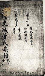 大理史城董氏族谱 卷10、11 PDF电子版封面