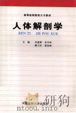 人体解剖学 1999 PDF电子版封面 7810483269 吴爱群,田中岭,臧卫东,雷留根主编