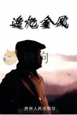 追忆金风 PDF电子版封面 赵少伏主编