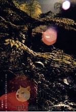 黔人杂志  第12卷第3期  总号第47期（1995 PDF版）