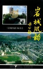 岩城风韵（1995 PDF版）