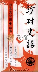 沙县文化历史丛书 沙村史话 1998 PDF电子版封面