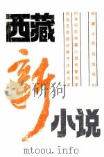 西藏新小说 1989 PDF电子版封面 7223003022 扎西达娃等著
