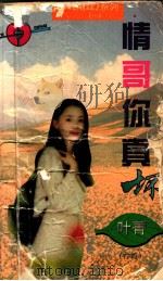 情哥你真坏（1997.09 PDF版）