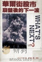华尔街股市崩盘后的下一波（1990 PDF版）