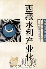 西藏水利产业化（1995 PDF版）