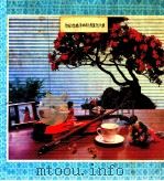 抗日女英雄李林烈士展览照片集（ PDF版）