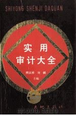 实用审计大全  下册（1988.09 PDF版）